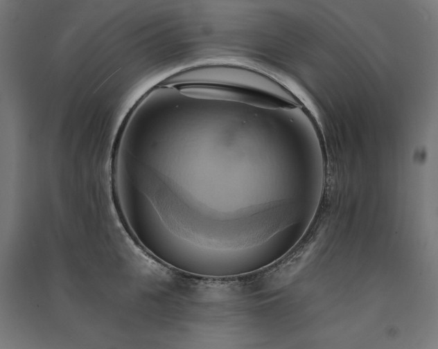 X0000091580951200708201205