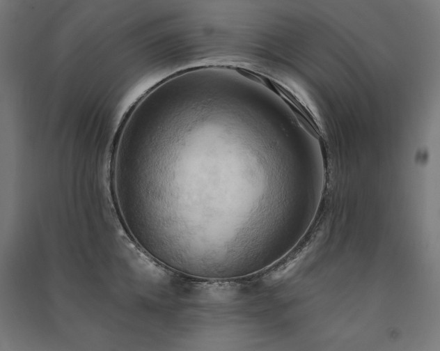 X0000091580952200708201205