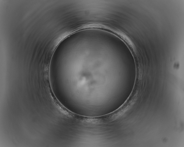 X0000091580953200708201205