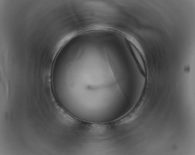 X0000091580954200708201205