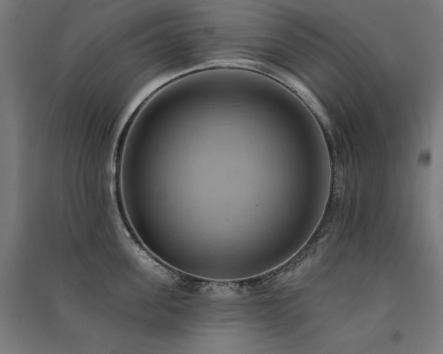 X0000091580955200708201205