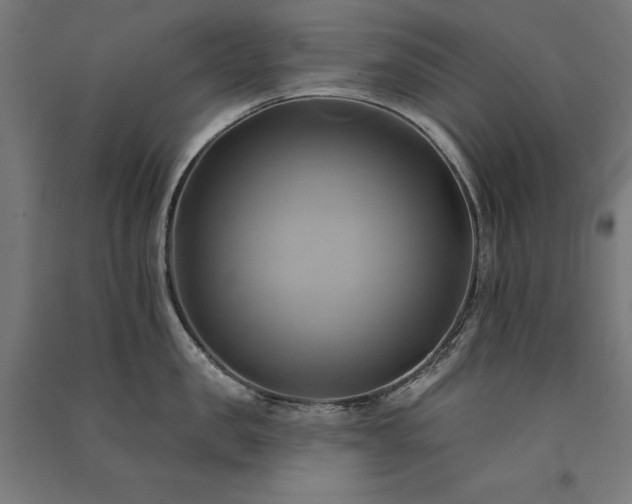 X0000091580957200708201205