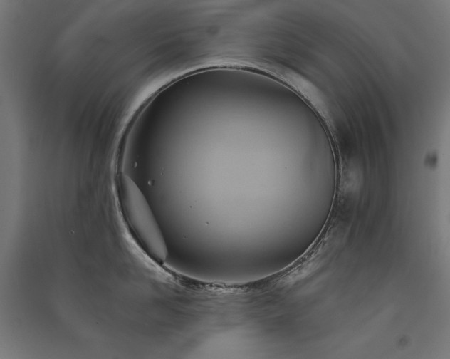 X0000091580958200708201205