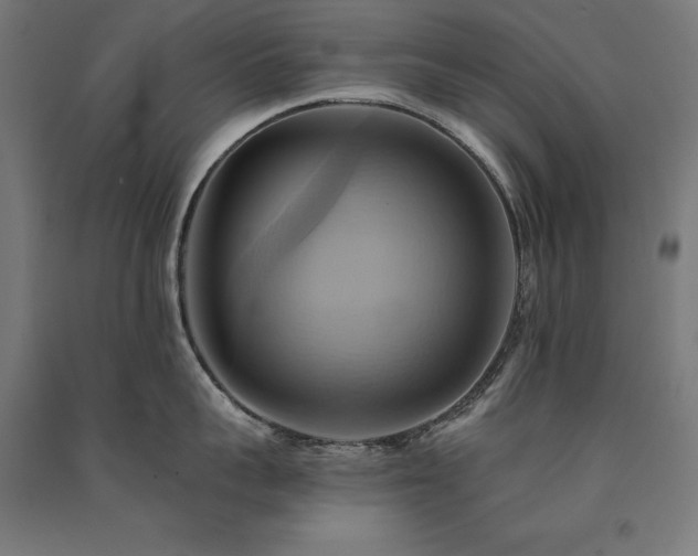 X0000091580959200708201205