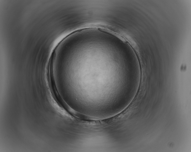 X0000091580960200708201205