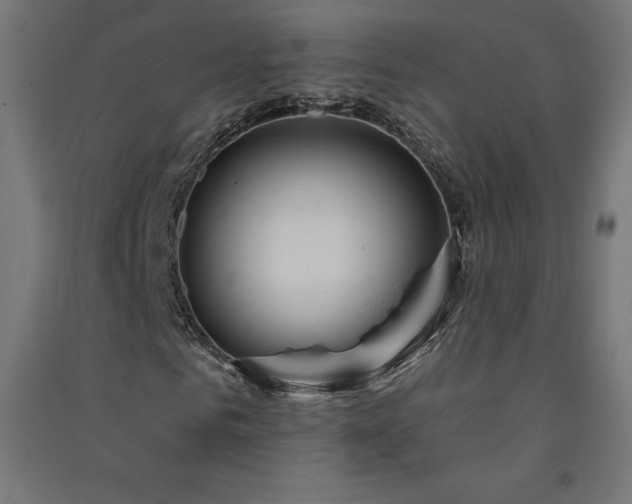 X0000091580961200708201204