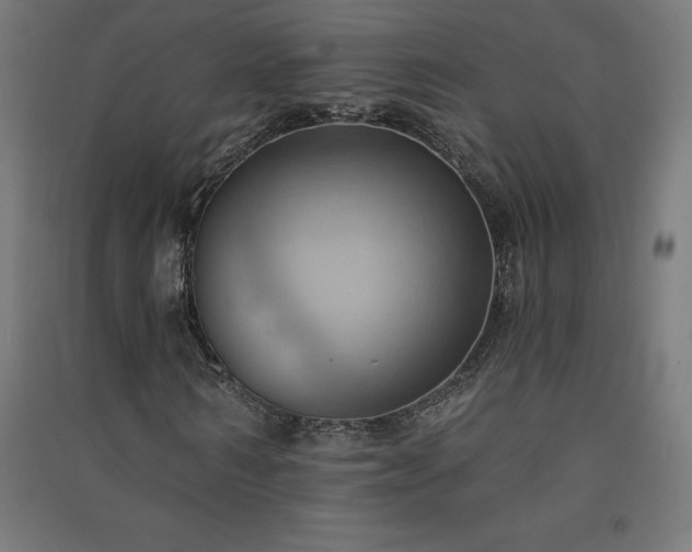 X0000091580962200708201204
