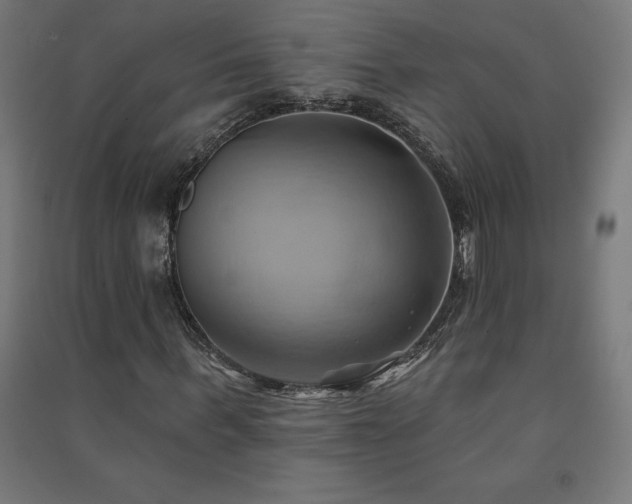 X0000091580963200708201204