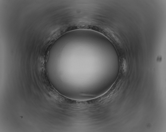 X0000091580964200708201204