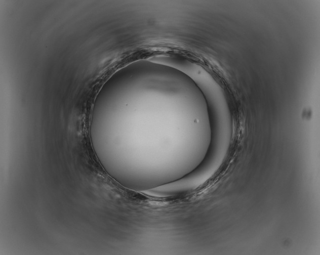 X0000091580965200708201204