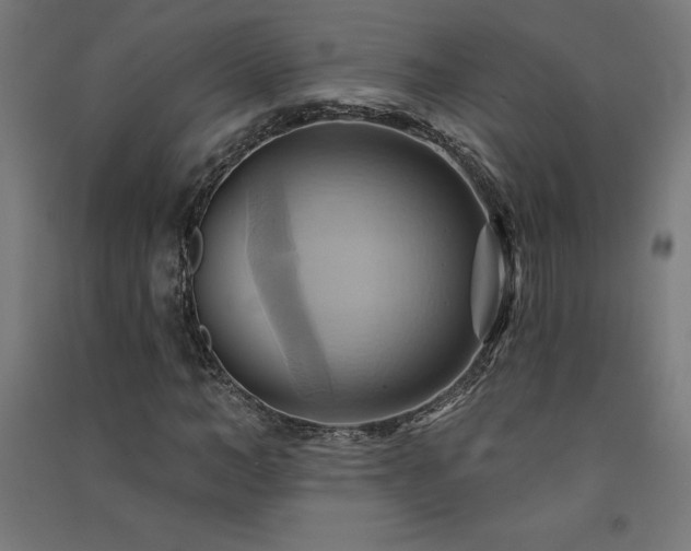 X0000091580966200708201204