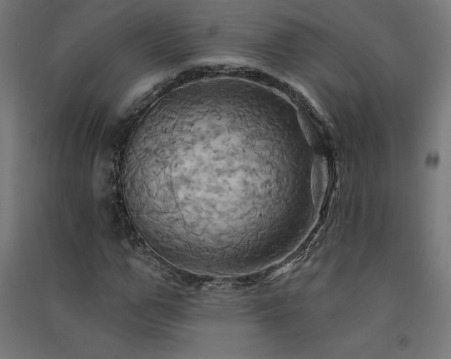 X0000091580967200708201204