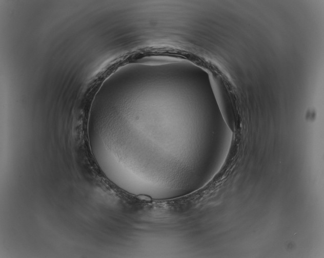 X0000091580968200708201204