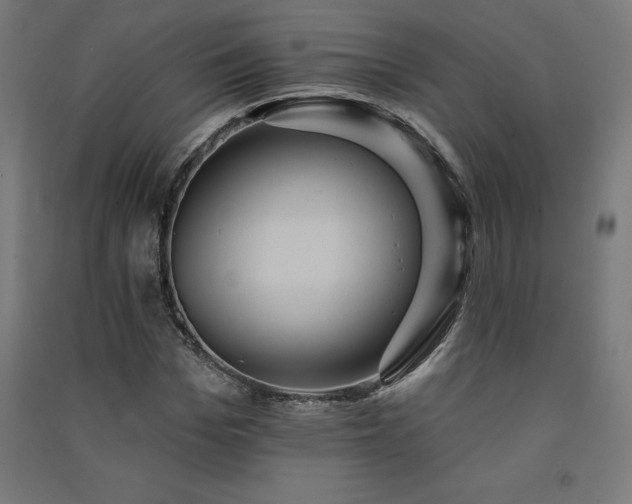 X0000091580969200708201204