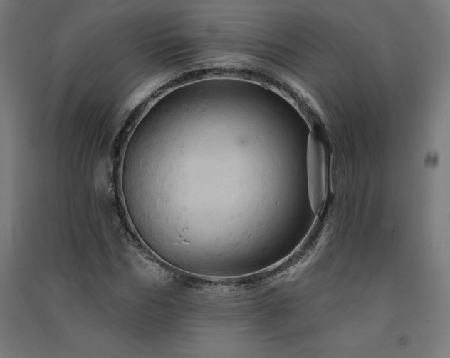 X0000091580970200708201204