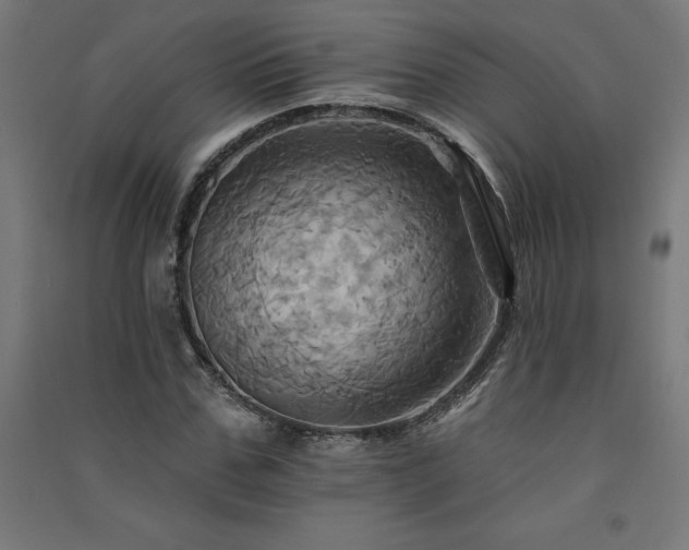 X0000091580971200708201204