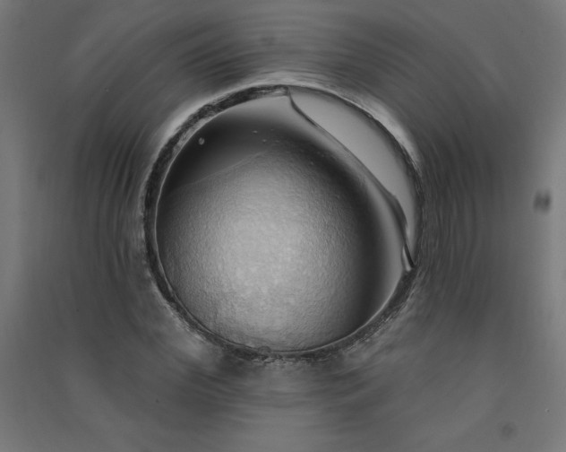 X0000091580972200708201204