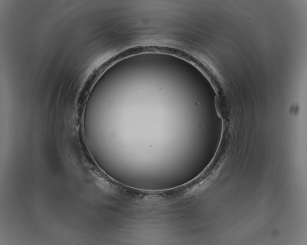 X0000091580974200708201204