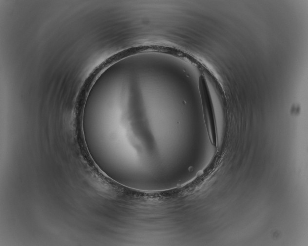 X0000091580975200708201204