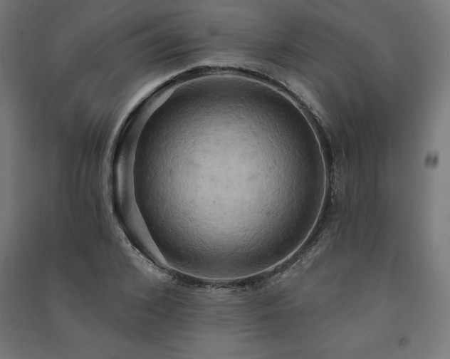 X0000091580976200708201204