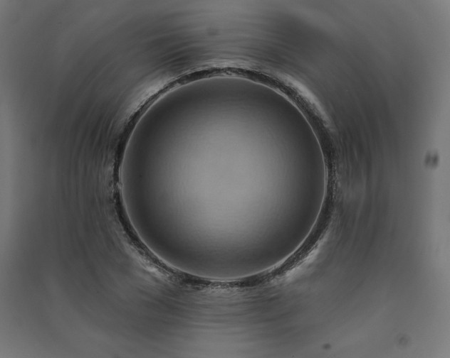 X0000091580977200708201204