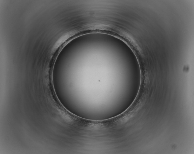 X0000091580978200708201204