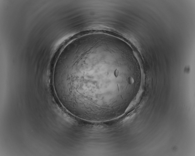 X0000091580979200708201204