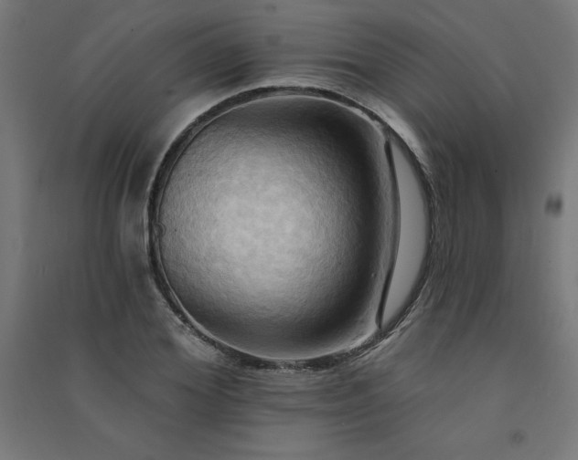 X0000091580980200708201204