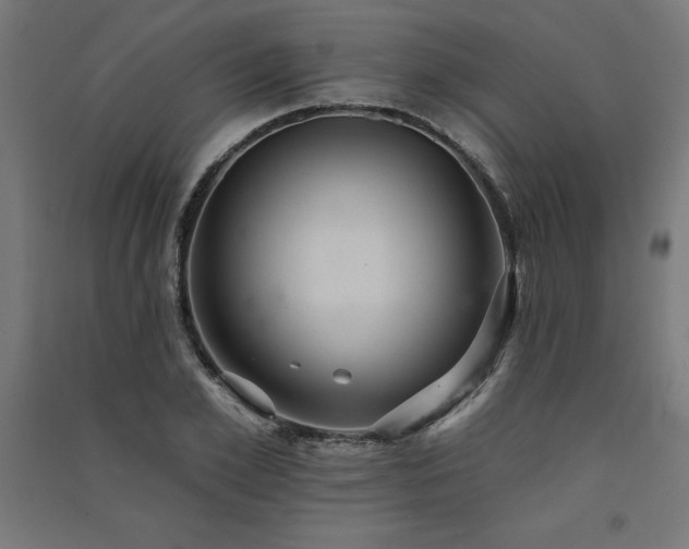 X0000091580981200708201204