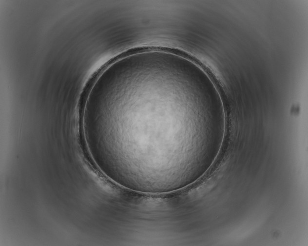 X0000091580982200708201204