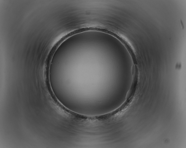 X0000091580983200708201204