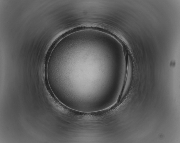 X0000091580984200708201204