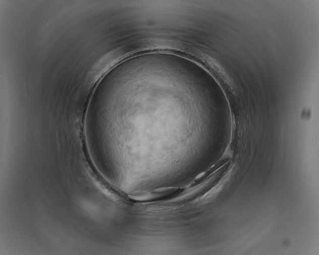 X0000091580985200708201204