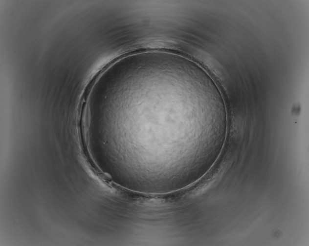 X0000091580986200708201204