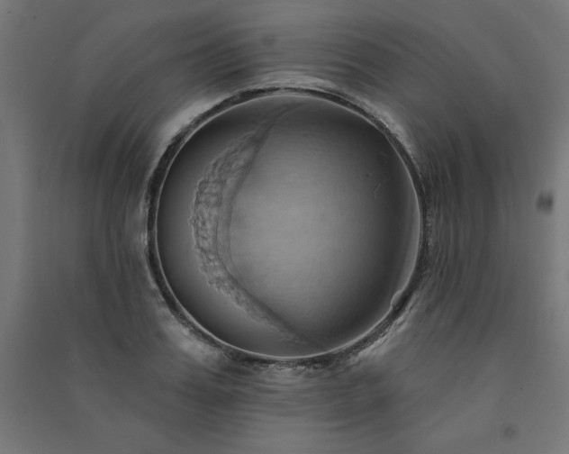 X0000091580987200708201204