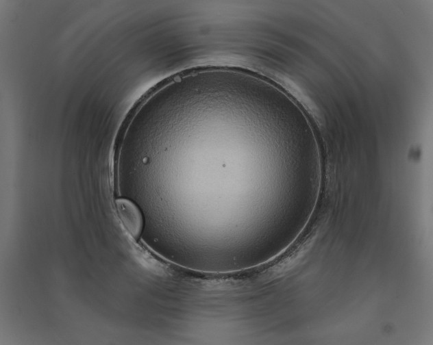 X0000091580988200708201204