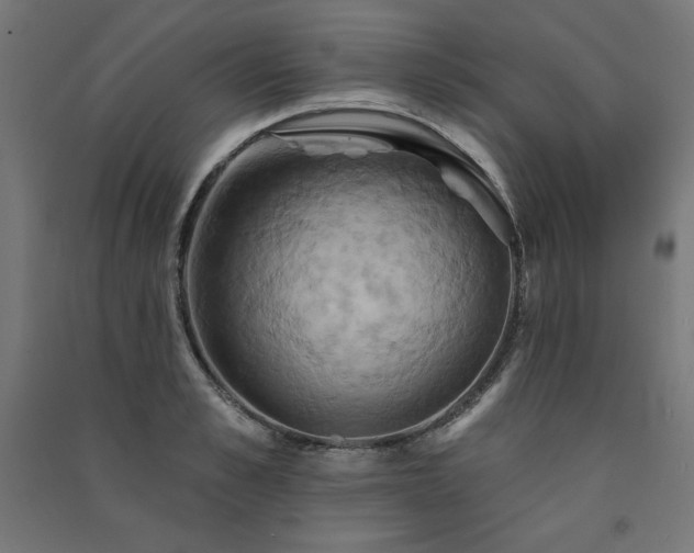 X0000091580989200708201204