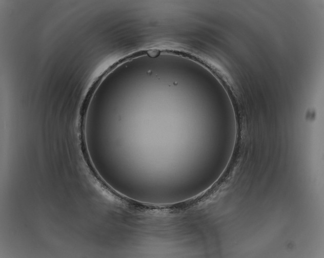 X0000091580990200708201203