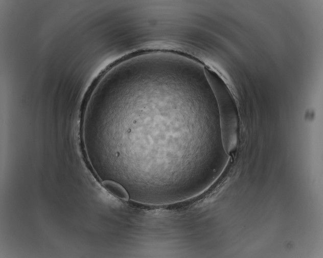 X0000091580992200708201203
