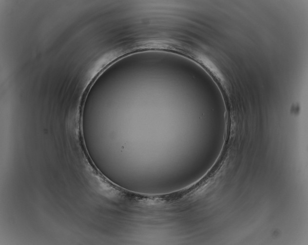 X0000091580994200708201203