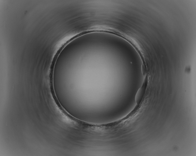 X0000091580995200708201203