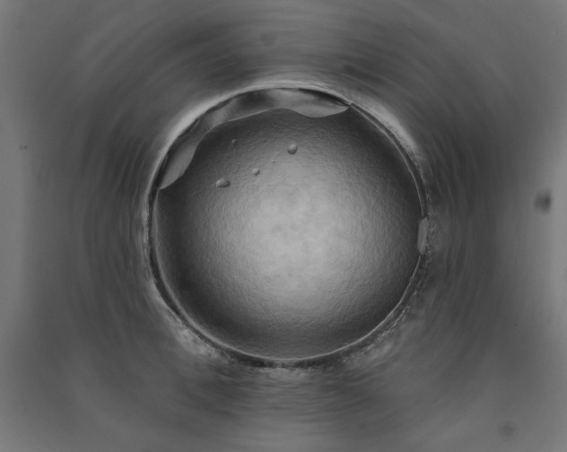 X0000091580996200708201203
