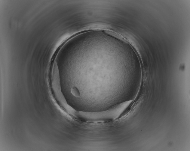 X0000091580997200708201203