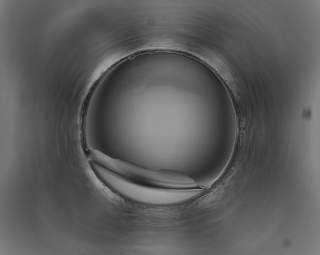 X0000091580998200708201203
