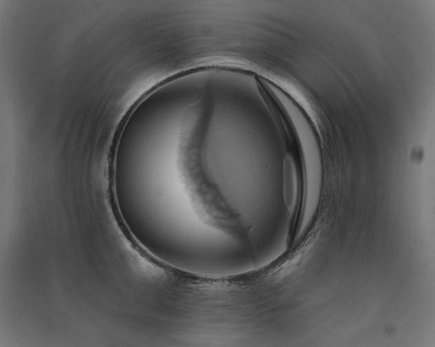 X0000091580999200708201203
