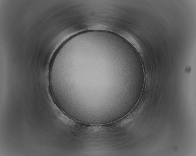 X0000091581000200708201203