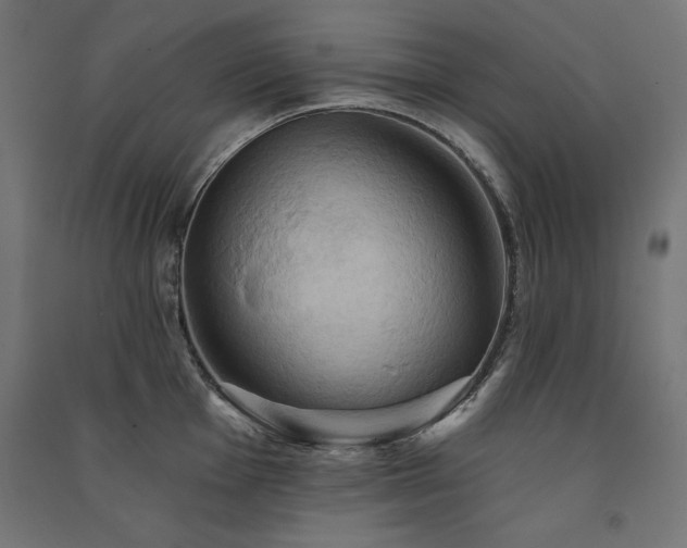 X0000091581001200708201203
