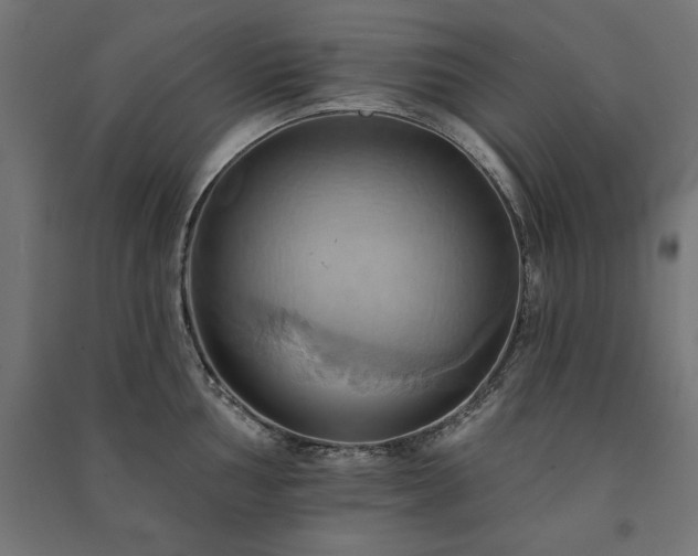 X0000091581002200708201203