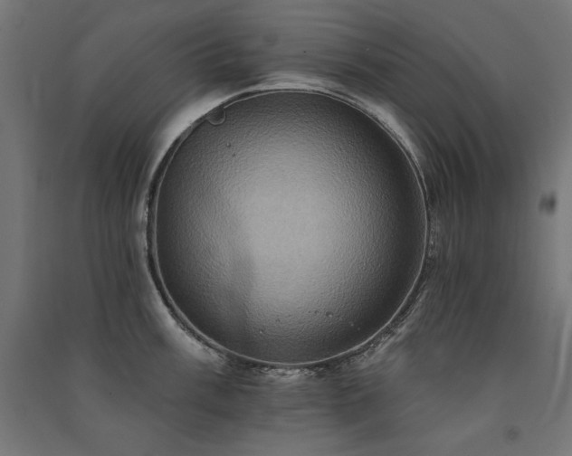 X0000091581003200708201203