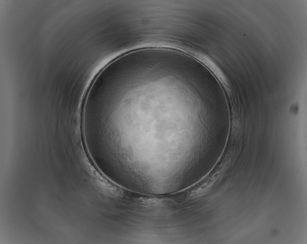 X0000091581004200708201203
